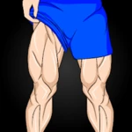 leg workouts android application logo